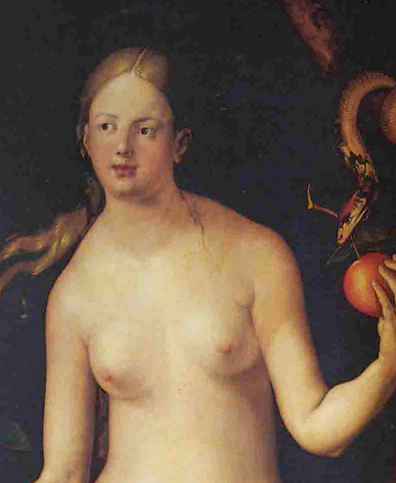 Albrecht Dürer Eva